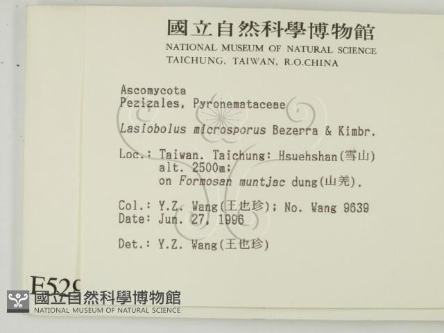 登錄號:F0005299藏品圖，第2張