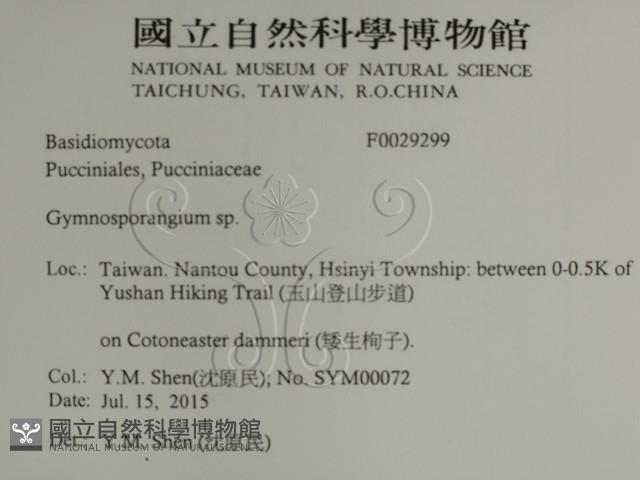 登錄號:F0029299藏品圖，第2張