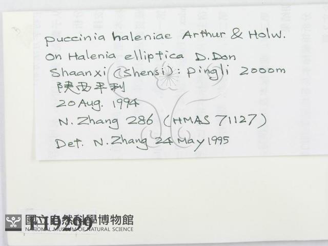 登錄號:F0019299藏品圖，第2張