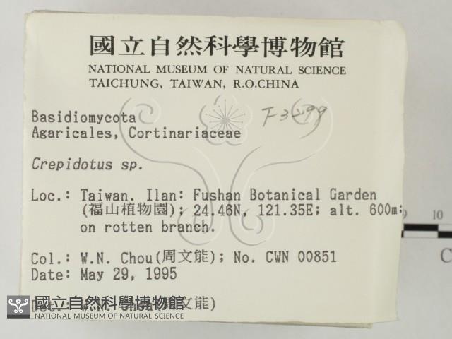 登錄號:F0003299藏品圖，第2張
