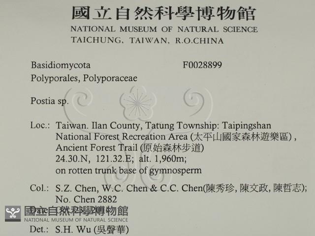 登錄號:F0028899藏品圖，第2張