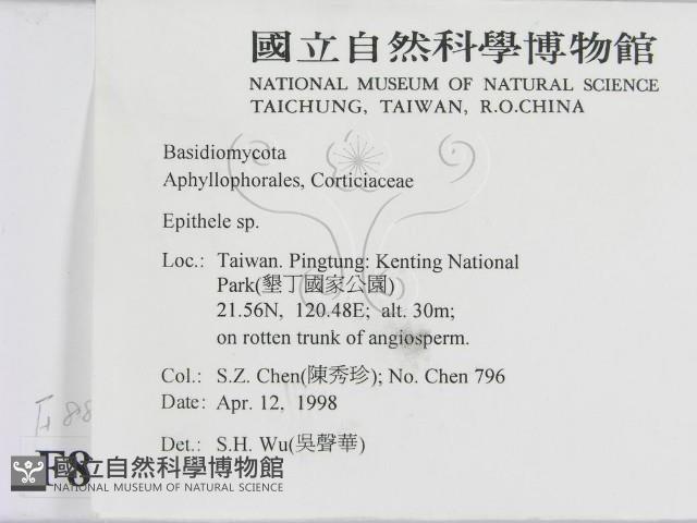 登錄號:F0008899藏品圖，第2張