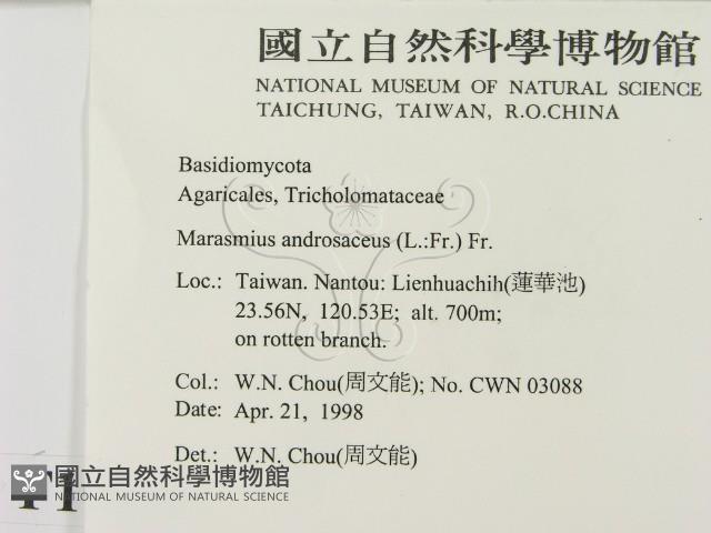 登錄號:F0010899藏品圖，第2張