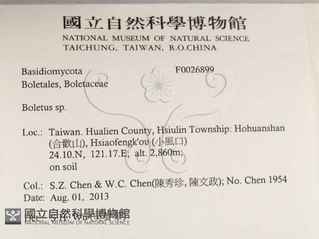 登錄號:F0026899藏品圖，第2張