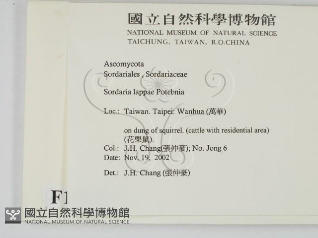 登錄號:F0016899藏品圖，第2張