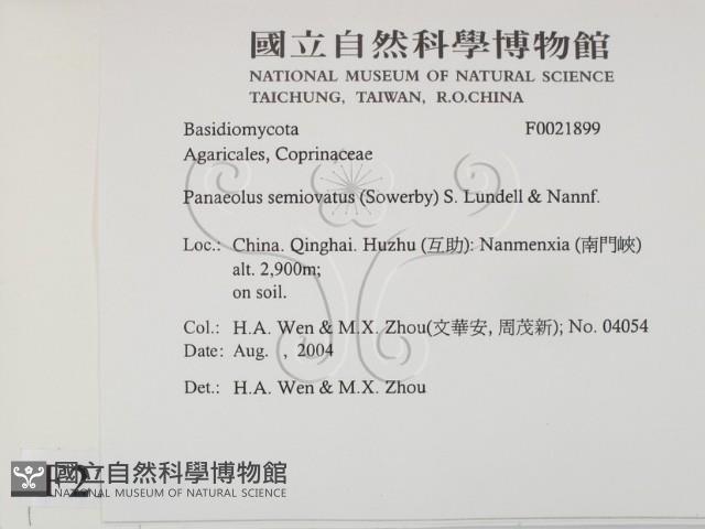 登錄號:F0021899藏品圖，第2張