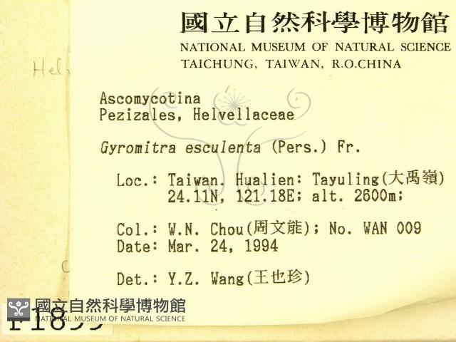 登錄號:F0001899藏品圖，第2張