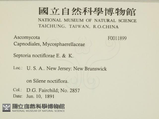 登錄號:F0011899藏品圖，第2張