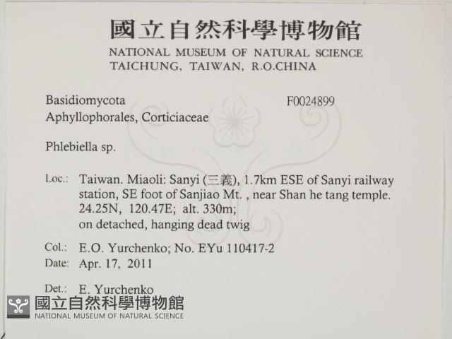 登錄號:F0024899藏品圖，第2張