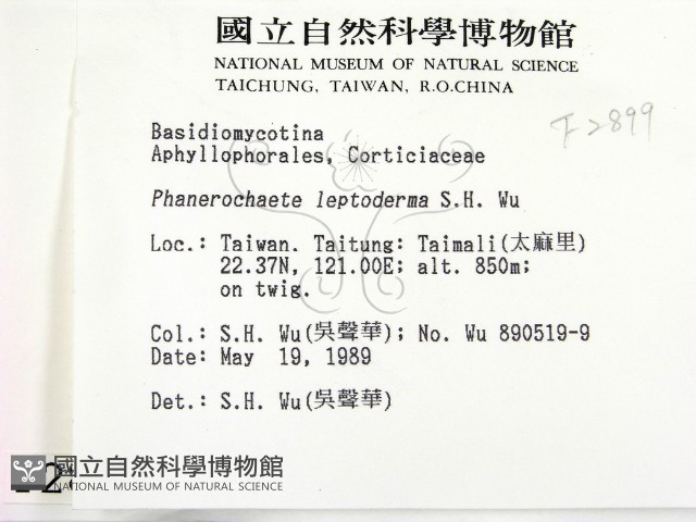 登錄號:F0002899藏品圖，第2張