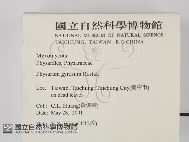 登錄號:F0012899藏品圖，第2張