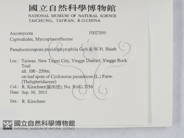 登錄號:F0027899藏品圖，第2張