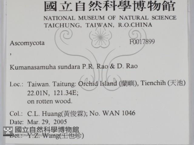 登錄號:F0017899藏品圖，第2張