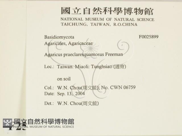 登錄號:F0025899藏品圖，第2張