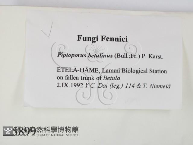 登錄號:F0005899藏品圖，第2張