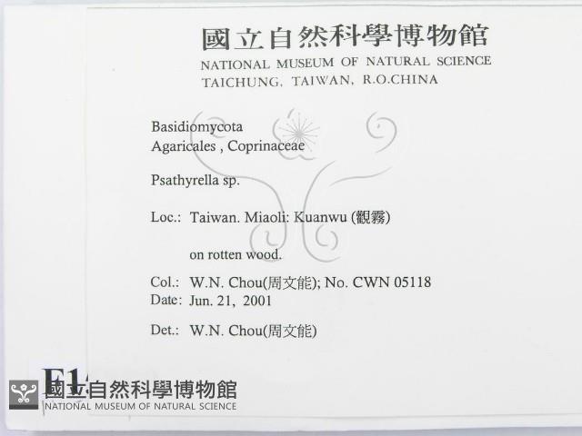 登錄號:F0015899藏品圖，第2張