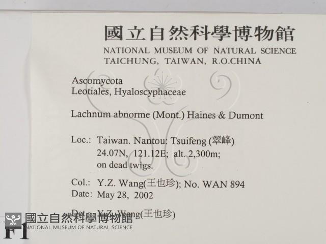 登錄號:F0013899藏品圖，第2張