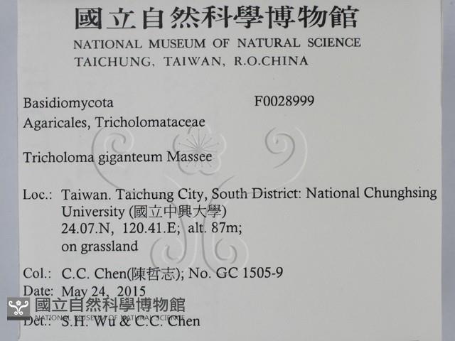 登錄號:F0028999藏品圖，第2張