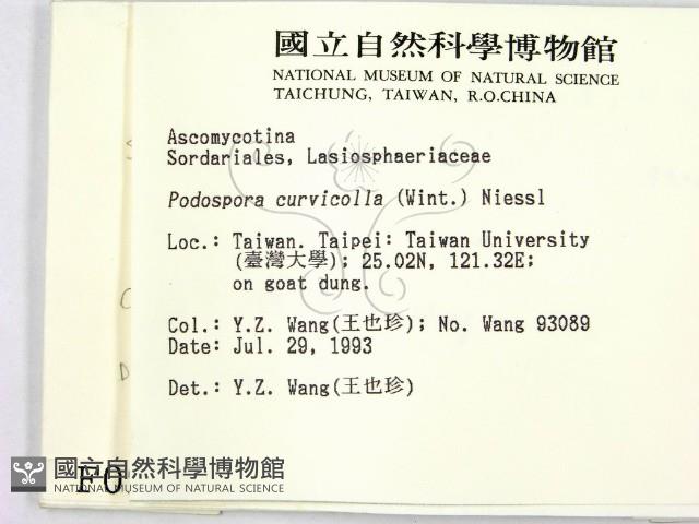 登錄號:F0000999藏品圖，第2張