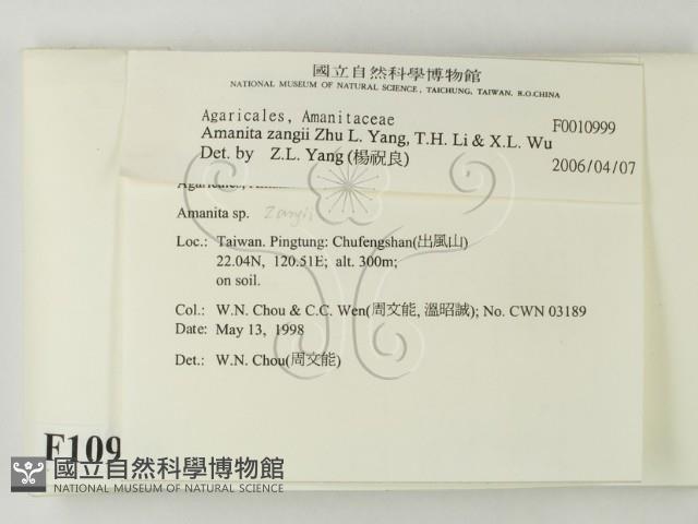 登錄號:F0010999藏品圖，第2張