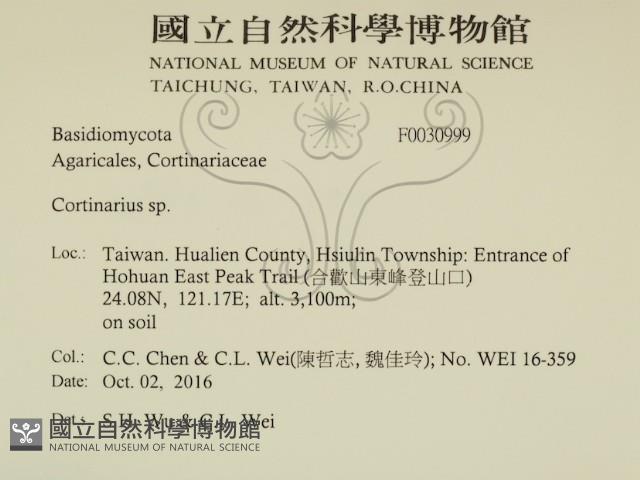 登錄號:F0030999藏品圖，第2張