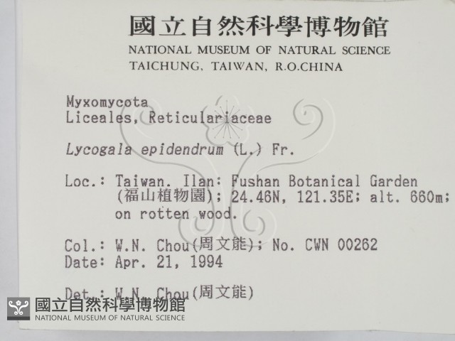 登錄號:F0001999藏品圖，第2張