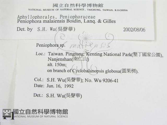 登錄號:F0011999藏品圖，第2張