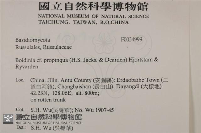 登錄號:F0034999藏品圖，第2張