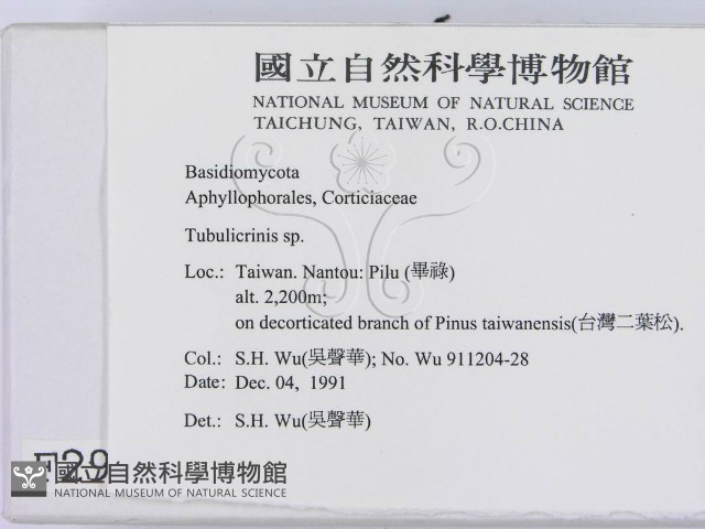 登錄號:F0002999藏品圖，第2張