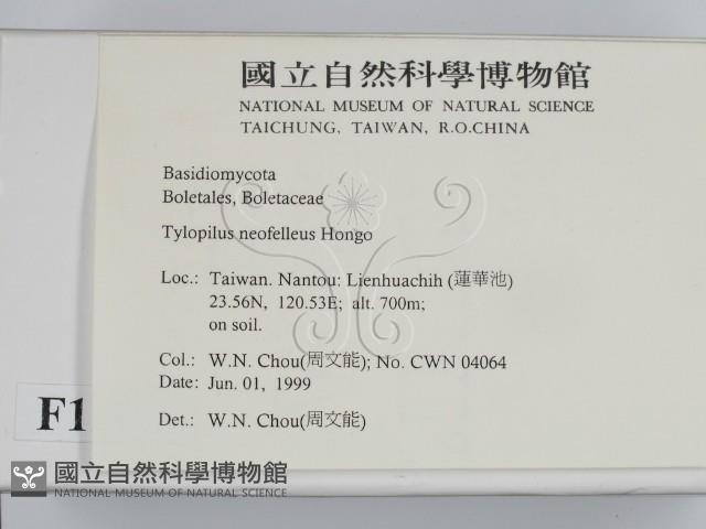 登錄號:F0012999藏品圖，第2張