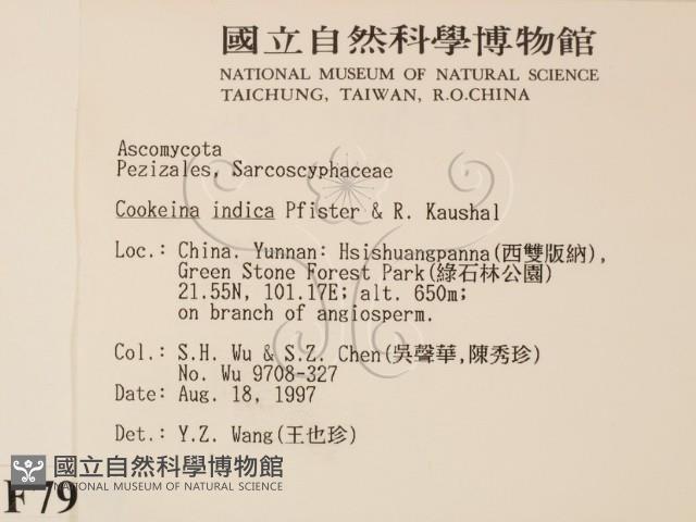 登錄號:F0007999藏品圖，第2張