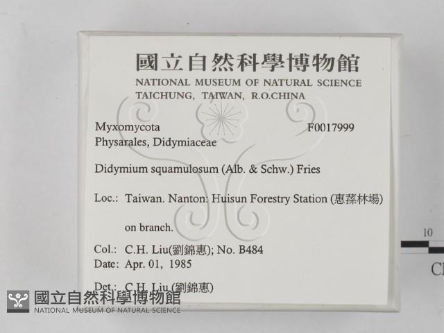 登錄號:F0017999藏品圖，第2張