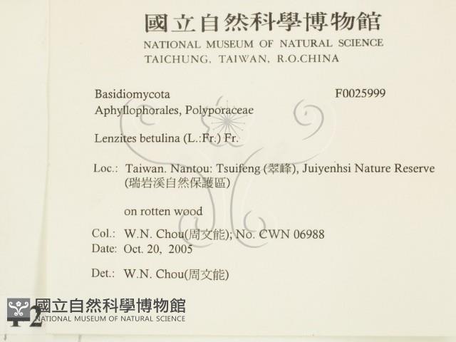 登錄號:F0025999藏品圖，第2張