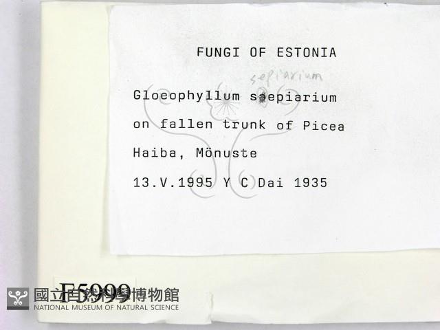 登錄號:F0005999藏品圖，第2張