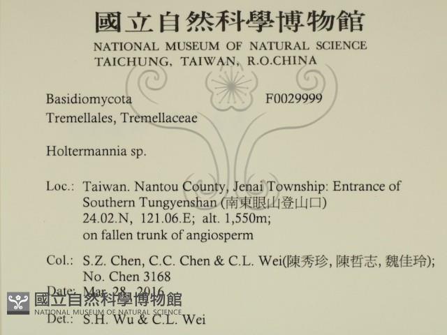 登錄號:F0029999藏品圖，第2張