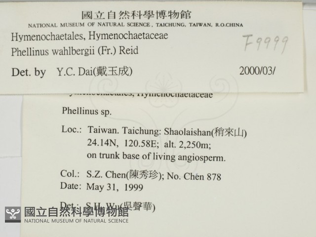 登錄號:F0009999藏品圖，第2張