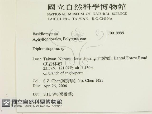 登錄號:F0019999藏品圖，第2張