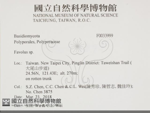 登錄號:F0033999藏品圖，第2張