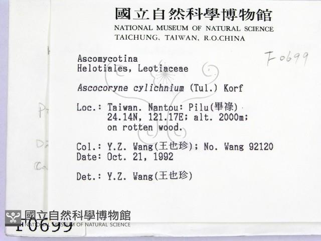登錄號:F0000699藏品圖，第2張