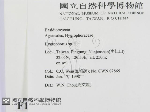 登錄號:F0010699藏品圖，第2張