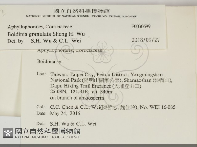 登錄號:F0030699藏品圖，第2張