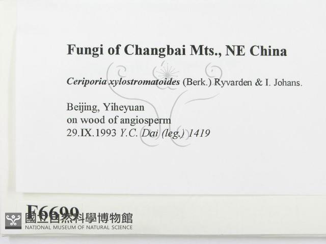 登錄號:F0006699藏品圖，第2張