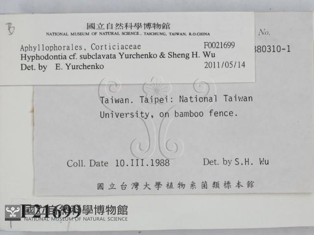 登錄號:F0021699藏品圖，第2張