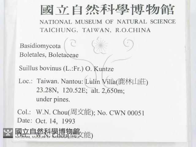 登錄號:F0001699藏品圖，第2張