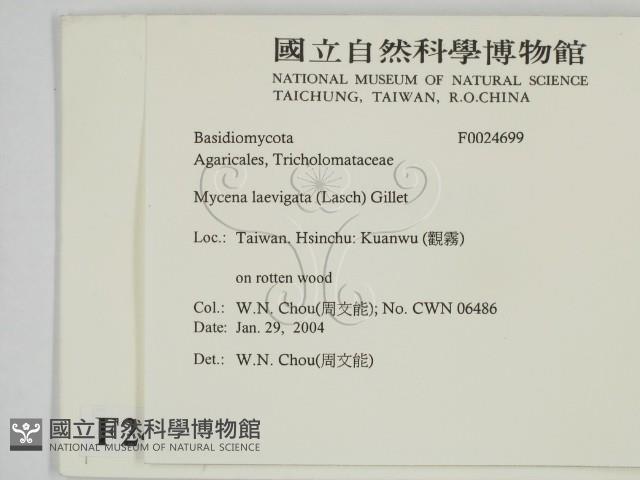 登錄號:F0024699藏品圖，第2張