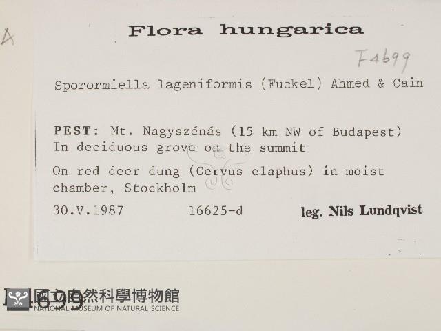 登錄號:F0004699藏品圖，第2張