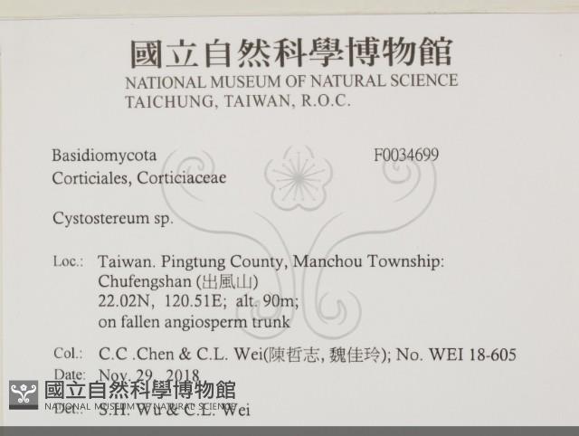 登錄號:F0034699藏品圖，第2張