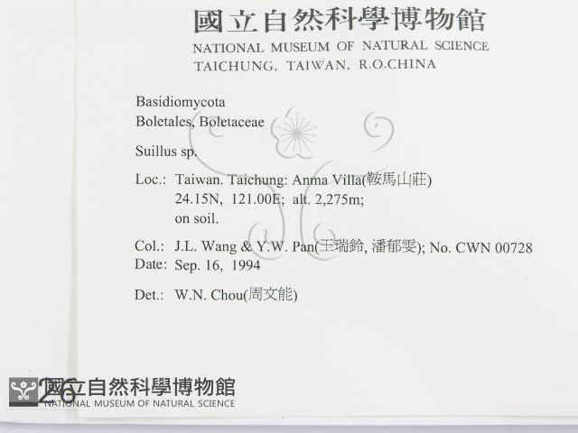 登錄號:F0002699藏品圖，第2張