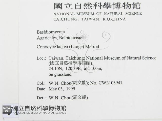 登錄號:F0012699藏品圖，第2張