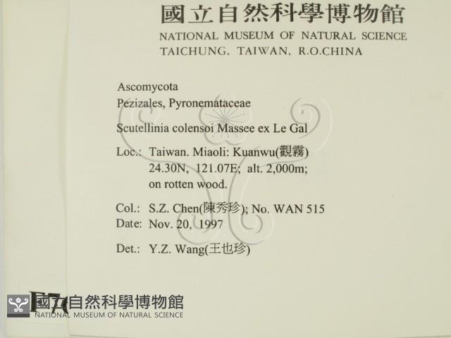 登錄號:F0007699藏品圖，第2張